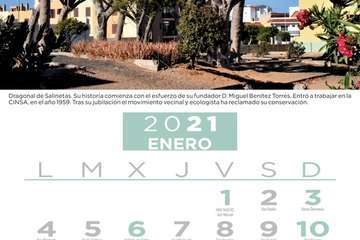  Telde pone en valor su patrimonio vegetal con un almanaque con los árboles más singulares/TA.